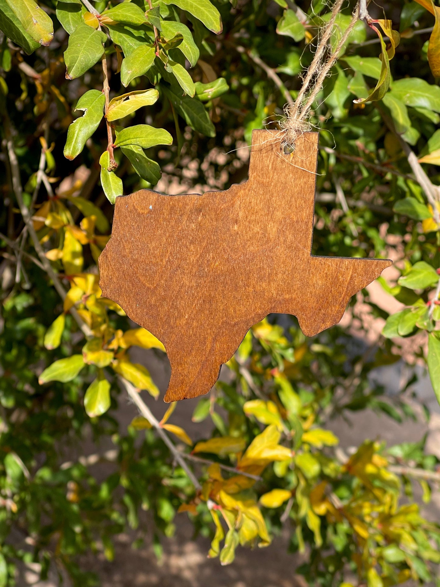 Blue Texas Shaped Wood Ornament