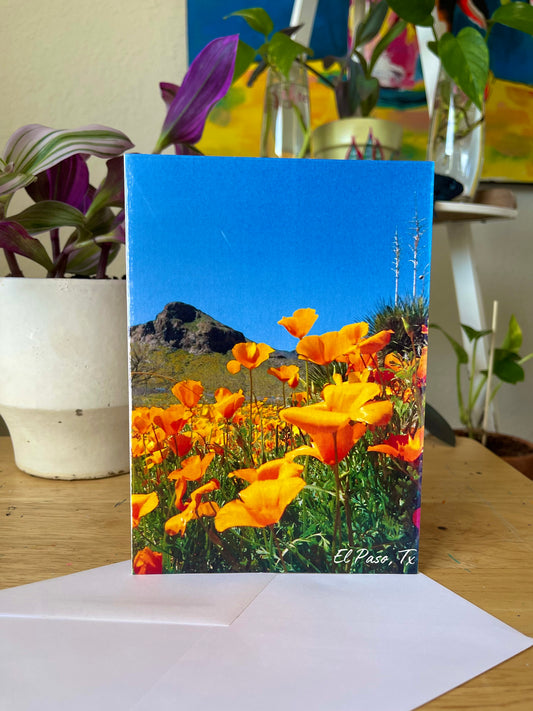 Poppy Mountain with Yucca Cards