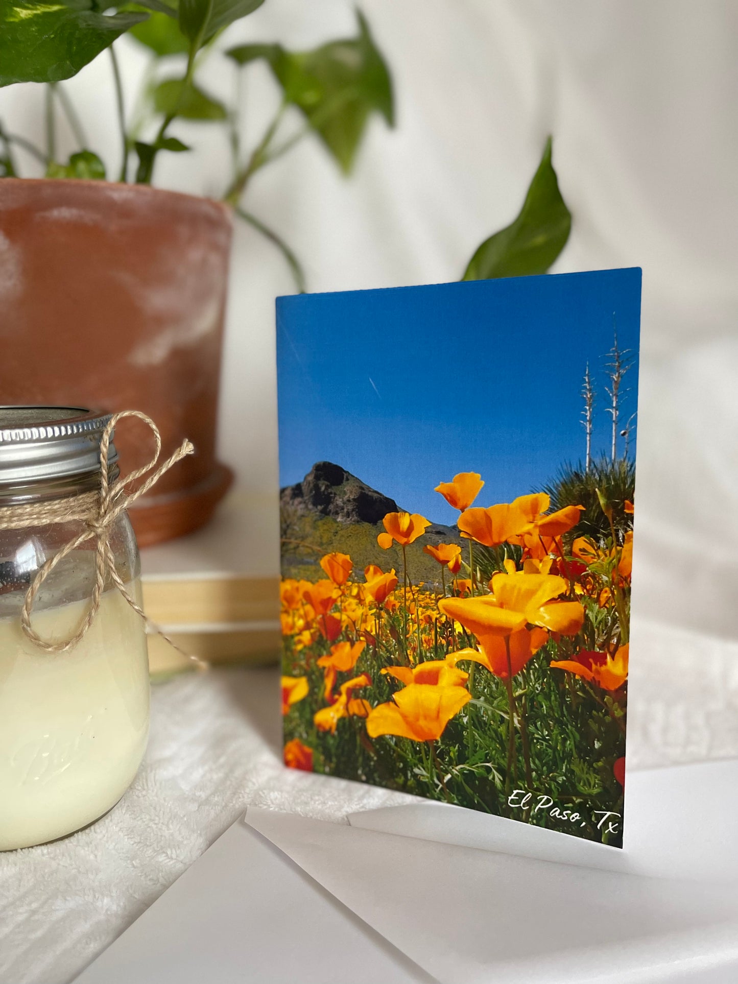 Poppy Mountain with Yucca Cards